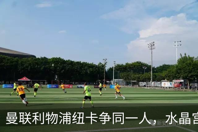 曼联利物浦纽卡争同一人，水晶宫标价6500万欧