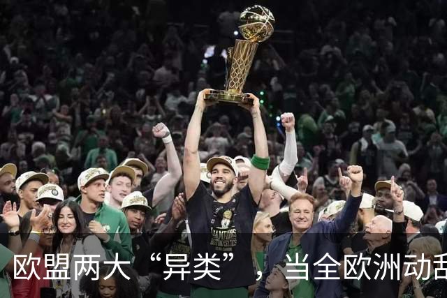 欧盟两大“异类”，当全欧洲动乱时，靠中国走上“捷径”躲过一劫
