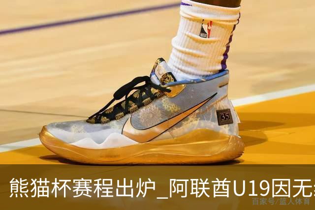 熊猫杯赛程出炉 阿联酋U19因无缘U20亚洲杯解散