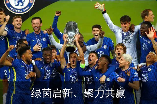 绿茵启新、聚力共赢